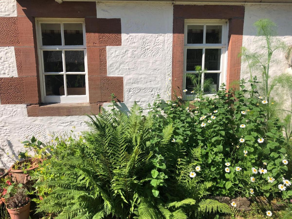 Laundry Cottage Dumfries Exterior photo